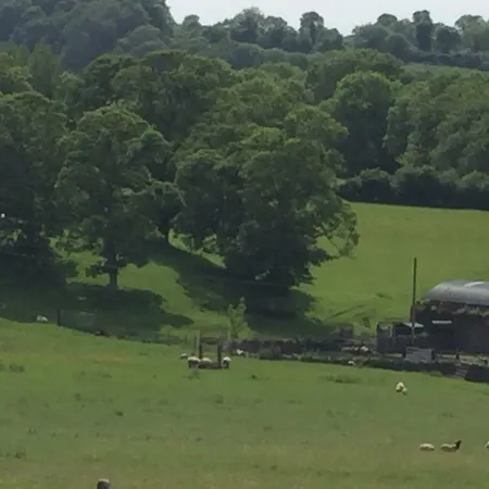 Viewmount 住宿加早餐酒店 *