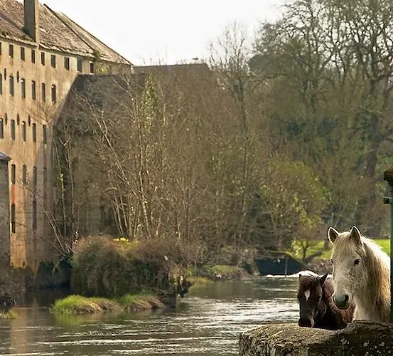 B&B Viewmount 토마스타운