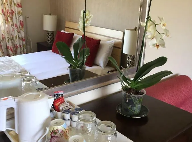 Viewmount B&B 토마스타운