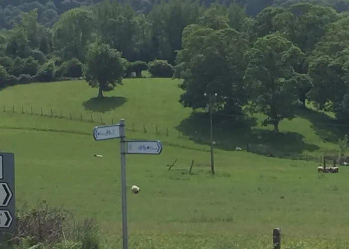 B&B Viewmount 토마스타운